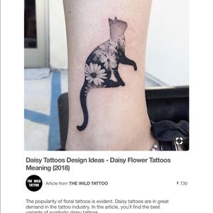 Meet your Posher, Anne